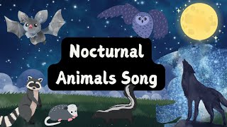 Nocturnal Animals for Kids  Learn About Night Animals [upl. by Eedebez]