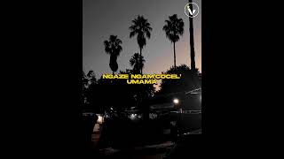 Bassie – Kwelanga 20 ft MTouch Ranger And Amaza LeeMcKrazy amp Tman Xpress lyrics amapiano [upl. by Yerdua]