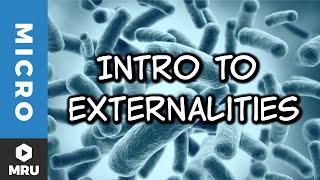 An Introduction to Externalities [upl. by Si120]