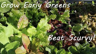 S1E3 Grow Early Greens For Better Health [upl. by Idola]