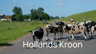 Zomertijd in Hollands Kroon Adembenemende Landschappen [upl. by Aner]