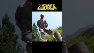 少林功夫真的全是由達摩所創嗎？我覺得不是！ 少林 武術 功夫 少林拳 [upl. by Aiki]