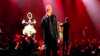 Peter Gabriel HD The Book of Love New Blood Orchestra Live in London YouTube [upl. by Mindy]