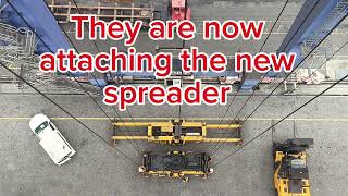 Watch the Crane Base Change the Spreader Epic Crane OperationsQuay Crane Operation [upl. by Elbag]