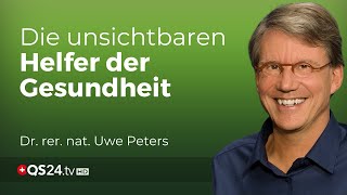 Entsäuerung amp Entgiftung Wie bioidentische Enzyme unser Leben verändern können  Naturmedizin QS24 [upl. by Aivilo]