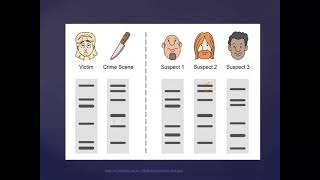 DNA Profiling [upl. by Odrareg156]