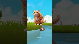 Natural Cycle cat catlover catvideos trendingshorts [upl. by Favrot194]