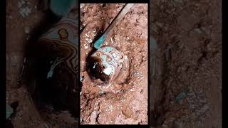 Digging crystal stone quartz gemstone crystal stone opal quartzite satisfying [upl. by Norreg916]