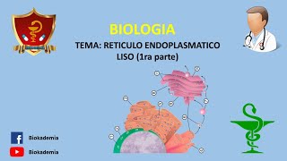 Tema Retículo endoplasmático liso [upl. by Gnuy]