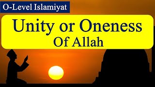 Unity or Oneness of Allah  OLevel Islamiyat 2058  Cambridge Islamiyat  Concept of Tawhid [upl. by Shulem]