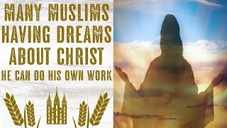 MANY Muslims Converting to Christianity Because of Dreams vs Satans Counterfeits [upl. by Weingarten456]