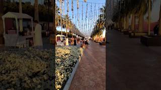 Yanbu Flower Festival shorts mivizvibez [upl. by Cavanaugh489]