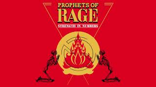 PROPHETS OF RAGE  Strength In Numbers Official Audio [upl. by Greenman451]