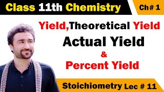 Theoretical Yield Actual Yield and Percent Yield Class 11 [upl. by Eladnek]