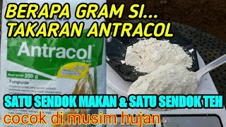 Timbangan Antracol Satu Sendok Makan Dan Satu Sendok Teh Ada Berapa Gram [upl. by Neehcas]