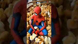 wow spiderman lots of chicks  SpiderMan Evolution shortvideo [upl. by Aicile]