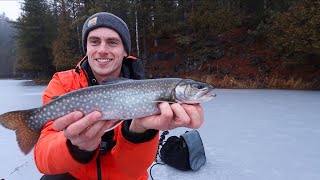 Ice Fishing on SECRET Backcountry Lakes for Splake [upl. by Turro419]