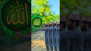 ya rabbe Mustafa 🥰🤲 new islamic giftbox vfx shorts trending [upl. by Wolfson]