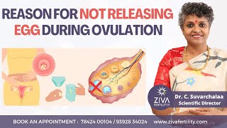 Ovulation Problems  Anovulation  Fertility Tips  Dr C Suvarchalaa  ZIVA Fertilityy [upl. by Lise]