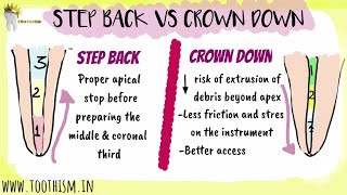 ENDODONTICS  STEP BACK VS CROWN DOWN TECHNIQUE  Biomechanical preparation [upl. by Annawd620]