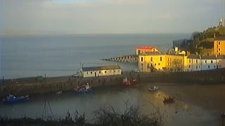 Tenby Live Stream [upl. by Finlay]