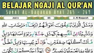 BELAJAR MENGAJI SURAH AL BAQARAH JUZ 3 AYAT 265  269 merdu dan mudah [upl. by Jacqueline]