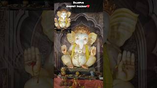 Bilaspur Ganpati Darshan😍 Majha Bappa Kiti God Disto🙏🏻 minivlog🥰 viralvideo🩷 ganesh❤️ trending🥳 [upl. by Hseham]