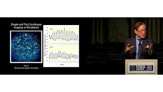 Dr Joseph Takahashi Molecular Architecture of the Circadian Clock in Mammals [upl. by Hernando]