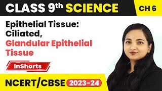 Epithelial Tissue Ciliated Glandular Epithelial Tissue  Class 9 Biology Chapter 6  Tissues [upl. by Surbeck]