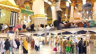 Today Early Morning at Masjid Nabawi 🕌 22092024  Prophet Muhammadﷺ Masjid 🕌  Madinah vlog Today [upl. by Aham]