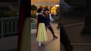 ディズニーランド 素敵な展開の白雪姫と王子のグリーティング 202112 TDL Tokyo Disneyland shorts [upl. by Kcire667]