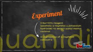 Enterobacter aerogenes VM1G1T1 [upl. by Hyacinthie]