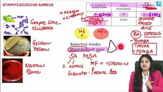 Microbiology LRR  Dr Preeti Maam  INICETFMGE NEETPG [upl. by Notyep756]