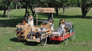 DIY vehicles for farm dogs [upl. by Billie502]