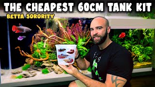 Cheapest 60cm ALL IN ONE Tank Kit  BETTA SORORITY Aquascape Tutorial [upl. by Lester]