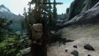 Skyrim Framerate Drop Solved [upl. by Verla759]