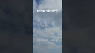 F16 Thunderbirds Flyby aviation f16 airshow [upl. by Essyle262]