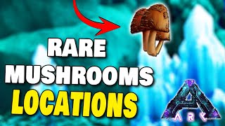 WHERE TO FIND RARE MUSHROOMS ON ABERRATION IN ARK SURVIVAL ASCENDED [upl. by Garv607]