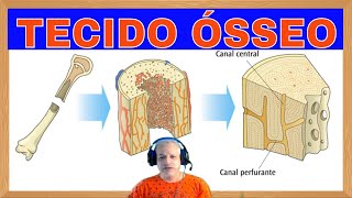 Tecido Ósseo [upl. by Gun]