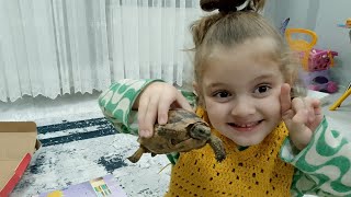 Evimizin Yeni Üyesi Chekky le tanışalım elifsinemtv PrensesLinaTv OykuKarta [upl. by Ardekal417]