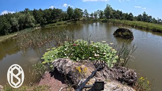 Metal Detector Ricerca lungo il lago [upl. by Schofield]