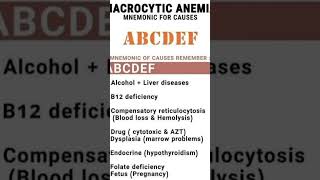 Macrocytic Anaemia science humanbody [upl. by Uird]