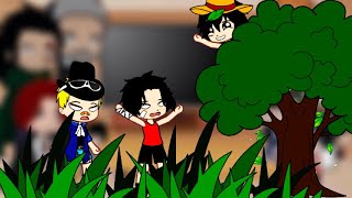 Luffys family  makino react to Luffy [upl. by Ines]