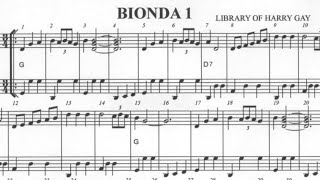 Tutti mi Chiamano Bionda Basic accordion arrangement [upl. by Vihs]