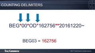 EDI Basics Reading X12 EDI [upl. by Luigino386]