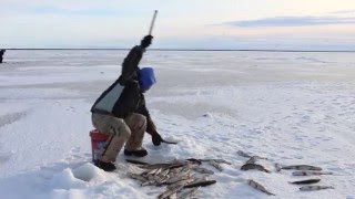 A Winter on the Kuskokwim [upl. by Besse]