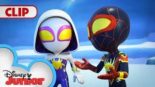 Team Spidey saves a Baby Penguin 🐧  Marvels Spidey and his Amazing Friends  disneyjr [upl. by Warfeld]