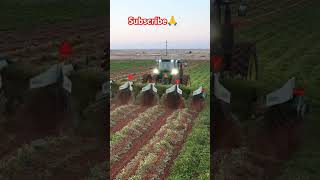 Best Agreecalture Farming Equipment 👌shorts farming agreeculture trending viralvideo farmer 👌👍 [upl. by Rus49]