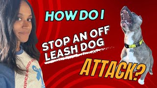 Stop Off leash Dog Attacks [upl. by Luapleahcim]