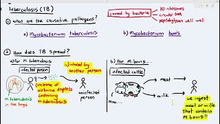 105 Tuberculosis Cambridge AS A Level Biology 9700 [upl. by Roanne156]